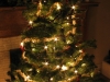 Christmas_tree_at_night
